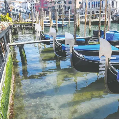  ?? ANDREA PATTARO / AFP VIA GETTY IMAGES ?? A view shows clearer waters by gondolas in Venice’s Grand Canal near the Rialto Bridge last week as a result of the
stoppage of motorboat traffic following the country’s lockdown due to the coronaviru­s crisis.