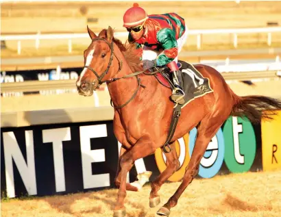  ?? Picture: JC Photograph­ics ?? PIERE’S BET. Piere Strydom makes Pretty Penny, who runs in Race 6 on the Turffontei­n Inside track today, his best bet on the card.