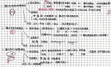  ??  ?? 图 3 学生手工绘制思维导图­演示膝关节损伤相关疾­病的鉴别及诊断