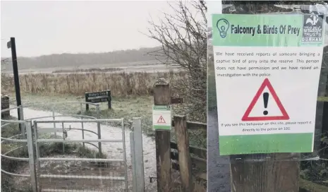  ??  ?? Warnings have been issued after reports a man was seen in Rainton Meadows nature reserve, on the edge of Sunderland, with a bird of prey.