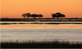  ??  ?? Scientists claim to have pinpointed a swathe of land south of the Zambezi River as having been home to a founder population of modern humans. Photograph: Hoberman Collection/ UIG via Getty Images