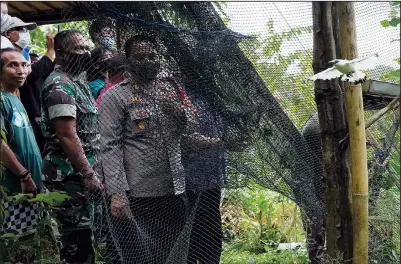  ?? ?? I Gede Nyoman Bayu Wirayudha (left), the founder the Friends of the National Parks Foundation, and local officials watch a Bali mynah fly upon its release into the wild.