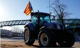  ?? ?? Catalan farmers protesting in Barcelona, Spain, 13 February 2024. Photograph: Siu Wu/ EPA