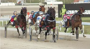  ?? ?? Above: A trots program will be held at Logan Park, Warragul on Monday’s public holiday.