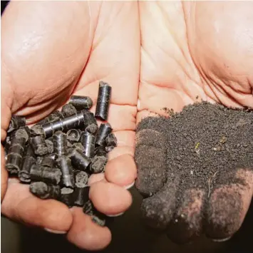  ?? Foto: Stauch ?? Aus Klärschlam­m werden unbelastet­e Pellets, die weiterverw­ertet werden können. Getrocknet­er Klärschlam­m (rechte Hand) wird zu Pellets gepresst (linke Hand).