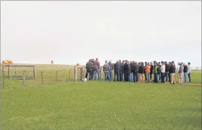  ??  ?? FARM VISIT: Maroona. Perennial Pasture Systems conference participan­ts visit the Mcdougall family farm at