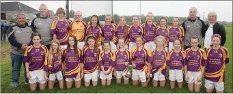  ??  ?? The Leinster Under-12 Division 2 blitz champions.