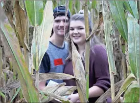  ?? Tyler Williams / Standard Journal ?? Autumn Tomlinson and Dylan Smith roam through the corn maze together. Carlton Farms is hosting a corn maze and other activities this fall and through the final weekend of October