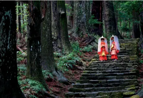  ??  ?? Arriba, en la imagen, los 267 escalones del Daimonzaka conducen a Nachi Taisha, uno de los tres santuarios sagrados del Kumano Kodo.