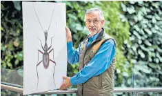  ??  ?? Whitten with a picture of Pilophaeno­ps whitteni whitteni,a
blind cave beetle – one of 11 species named after him