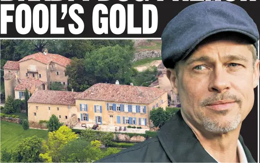  ?? ?? ESTATE OF ‘MINE’: Brad Pitt says he started scouring his Provence estate with ground-penetratin­g radar after hearing of buried gold there.