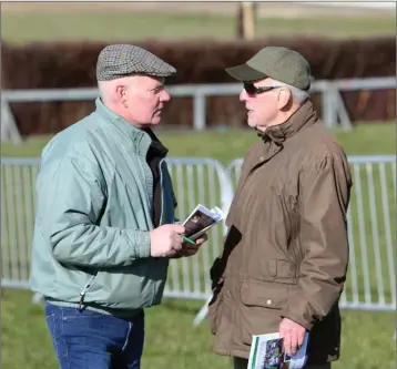 ??  ?? Joe Kavanagh and Matthew Farrell in deep discussion at the Bray Harriers point to point at Fairwood, Tinahely recently. Photo: Joe Byrne