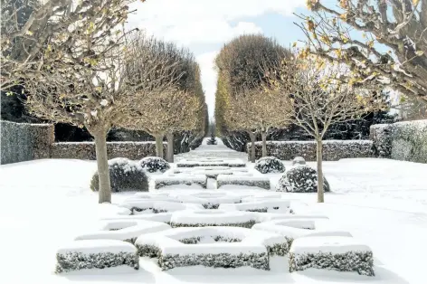  ?? PHOTOS BY THERESA FORTE/SPECIAL TO THE STANDARD ?? In the sheltered parterre garden at the Niagara Parks Botanical Garden, snow outlines the neatly clipped boxwood hedges, crisp and clean as white icing on petit-four cakes.