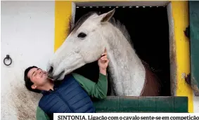  ?? ?? SINTONIA. Ligação com o cavalo sente-se em competição