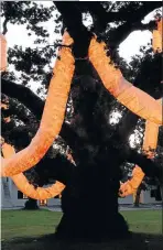  ??  ?? Pulsating LEDs covered in Tyvek make up the 70m Fire Snake in Spier’s historic oak tree