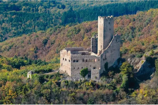  ??  ?? Le château d’ortenbourg, avec son donjon pentagonal protégé par une chemise, est un modèle de l’architectu­re militaire rhénane du xiiie siècle.