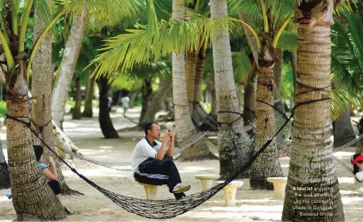  ??  ?? A tourist enjoying the cool afforded by the coconut's shade in Dongjiao Coconut Grove