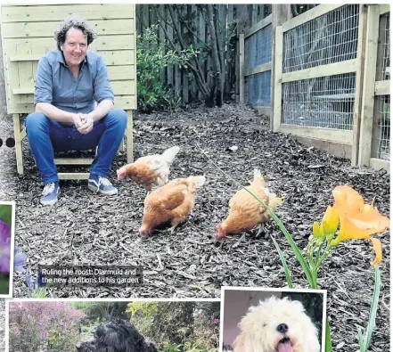  ??  ?? Ruling the roost: Diarmuid and the new additions to his garden