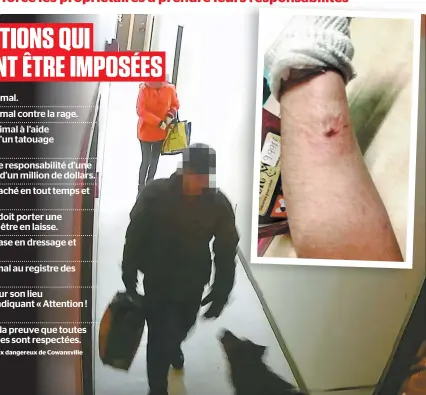  ?? PHOTOS FOURNIES PAR LA SPA DES CANTONS ?? Pour prouver qu’un animal est dangereux, des preuves doivent être amassées. Sur l’image, on voit Carlo, un berger allemand jugé agressif voulant mordre. En mortaise, lors d’un autre incident, on voit le résultat d’une morsure infligée par Carlo.