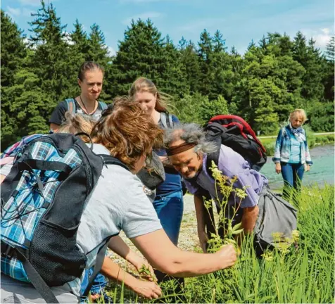  ?? Fotos: Manuela Krämer ?? An der Pflanze riechen, schmecken und fühlen dürfen die Teilnehmer der spirituell­en Kräuterwan­derung in Kissing.