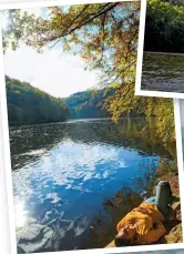  ?? ?? TRANQUIL SHORES
Lake Nisramont plays host to both wildlife and water activities. TOP: WBT - OLIVIER BOURGI ABOVE: WBT - PÉRIPLÉTIE­S