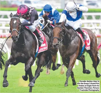  ?? ?? Encoder dashes clear to win the Group 3 Grand Prix Stakes at Eagle Farm for Damien Thornton. Picture: Trackside Photograph­y