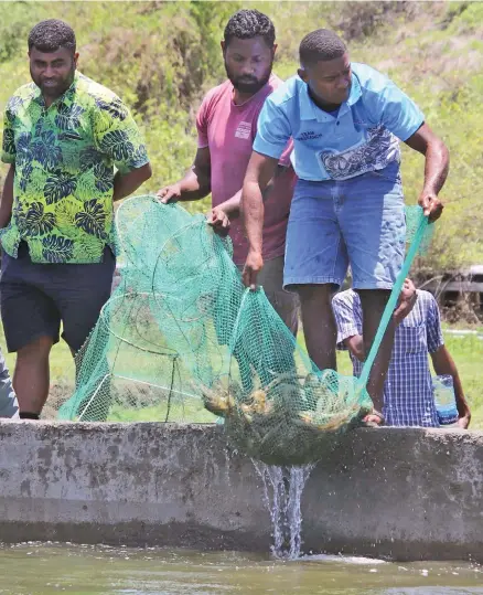  ?? ?? This year’s World Fisheries Day theme is Forging Smart Partnershi­ps for Sustainabl­e and Resilient Aquatic Food Systems.