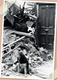  ??  ?? BELOW Shep stands by the door of his home after it had been demolished during raids on Merseyside. October 25, 1940