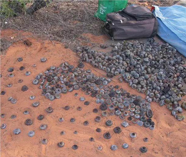  ?? Photo Credit: Jo Foster ?? Gumnuts displayed in the sand at Bush Carp near Kuruala, May 2008.