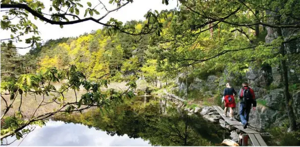  ?? FOTO: TORSTEIN ØEN / NICA ?? Mitt tips er at nærnatur vil bli et knappere og knappere gode rundt byene våre. Den har stor (men vanskelig målbar) verdi for rekreasjon, naturopple­velse og folkehelse, skriver Lars Verket.