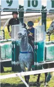  ??  ?? Chautauqua jumps late from his gate in a Sydney barrier trial.