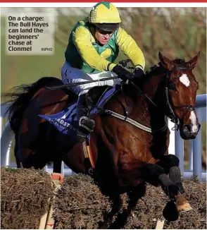  ?? INPHO ?? On a charge: The Bull Hayes can land the beginners’ chase at Clonmel