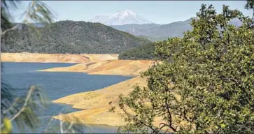  ?? Jason Armond Los Angeles Times ?? A SHRINKING Shasta Lake. Birds with fewer fields to feed on could concentrat­e at other water sources.