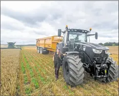  ?? ?? Berkshire Farm Girl Eleanor Gilbert gathers in the harvest