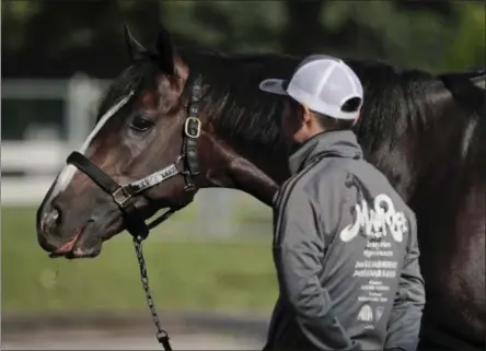  ?? JULIE JACOBSON — THE ASSOCIATED PRESS ?? Belmont Stakes hopeful Epicharis pauses while grazing outside his barn with an assistant trainer at Belmont Park on Thursday in Elmont, N.Y. Epicharis will be one of 12 horses competing in the 149th running of the Belmont Stakes horse race on Saturday.