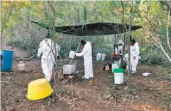  ??  ?? El laboratori­o donde elaboran la sustancia se encuentra en una finca, un espacio abierto adaptado con una lona de nylon negro como techo.