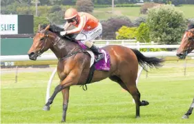  ?? Photo / Trish Dunell ?? Media Sensation is on her own at Ellerslie.