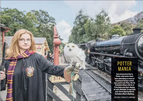 ??  ?? Fans dressed as Harry Potter characters have been attending an event at Goathland Station which was used in the films. North Yorkshire Moors Birds of Prey team and their display of owls attended. It was held over three days by North Yorkshire Moors Railway.
