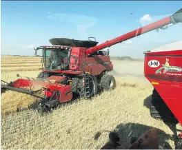  ?? BLAKE BERGEN ?? Harvest is underway for Blake Bergen at his farm in central Saskatchew­an. The Laniganare­a farmer says moisture levels have presented challenges for farmers.