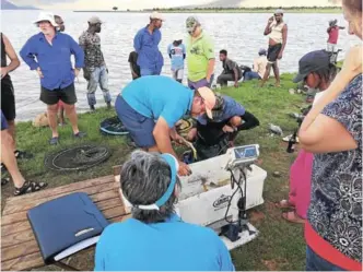  ?? Picture: ANDISA BONANI ?? BIG FISH: The Kraaines Fishing Club held a competitio­n at the Xonxa Dam on Sunday when participan­ts who caught some of the biggest fish won prizes. The fun-filled event was disrupted by local residents who demanded they be given the fish after the weigh-in. Organiser of the event Christophe­r Kay who conducted the weigh-in put the bigger fish back in the water, and gave the smaller ones to the residents but they demanded the big fish which Kay indicated should go back to the water so that they could breed. Kay said the next time they hosted the event they would have to move further away from the residentia­l area to avoid unpleasant disruption­s