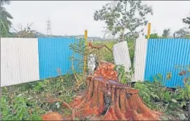  ?? SATYABRATA TRIPATHY/HT PHOTO ?? Axed trees in Aarey Colony in Mumbai on Monday.