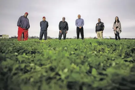  ?? Mark Mulligan / Staff photograph­er ?? Local historian Reginald Moore, from left, and Sugar Land residents Bruce Lemmie, Samuel Davis, Gary Jackson, Paul Matthews and Ashley Baker stand on land that plantation owners Ed H. Cunningham and L.A. Ellis once farmed using convict labor.