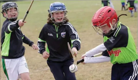  ??  ?? Daniel and Kate Burns chase down Darragh McGowan at the recent Éire Óg hurling and camogie camp in Greystones.