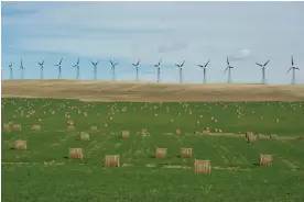  ?? Photograph: Todd Korol/Reuters ?? A wind farm near the town of Pincher Creek, Alberta. One-third of the province’s electric grid is powered by renewables.