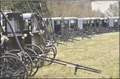  ?? (LNP LancasterO­nline/Chris Knight) ?? Amish buggies are parked at a home along the New Holland Road south of New Holland for a wedding celebratio­n.