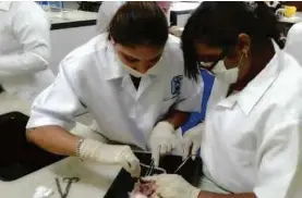  ??  ?? Keethanjel­i Palaniyapp­an (right) and her coursemate dissect mice for a histopatho­logy project.