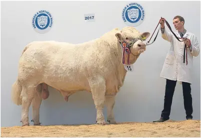  ??  ?? TOPPER: Last year’s overall pedigree bull champion, Harestone Leam, sold for 6,500gn