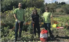  ?? PHOTOS: MOSAIC ?? Mosaic supports local food programs not just through monetary donations, but also with people power. Volunteers help stuff backpacks with food for kids in Regina elementary schools. Here volunteers donate their time to a community garden.