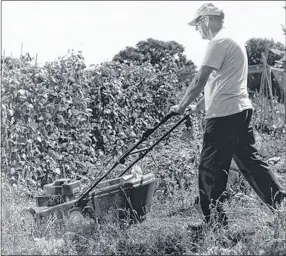  ??  ?? Steve mowing his grass paths