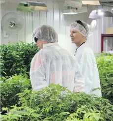  ?? AURORA CANNABIS ?? Cam Battley, right, executive VP of Aurora Cannabis says “the U.S. is keeping itself out of… a vast new global industry.”